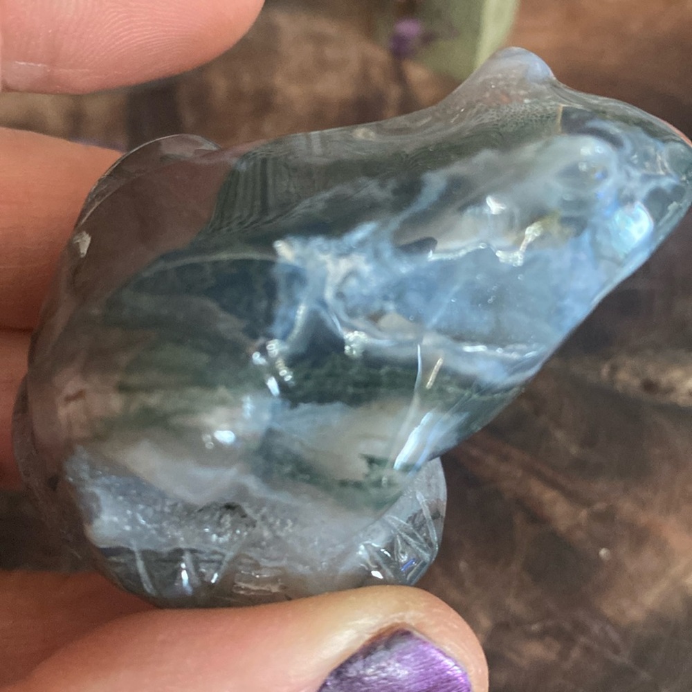 Stunning Moss agate frog carving with a little druzy pocket on it’s shoulder